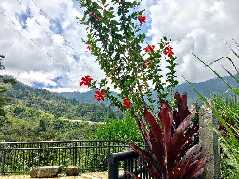 photo may 19, 10 46 30 am