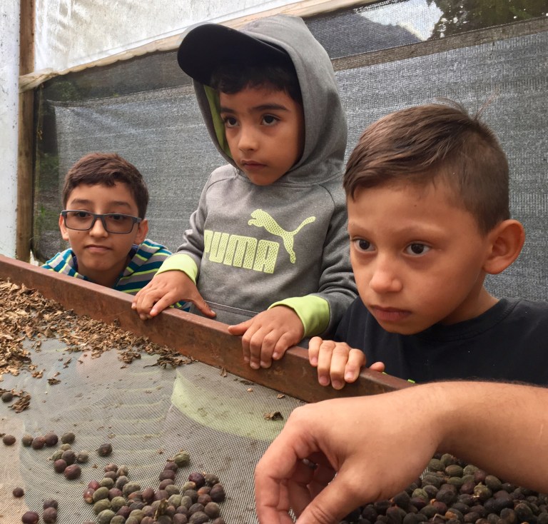 photo may 19, 12 25 20 pm