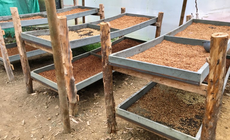 photo may 19, 12 27 58 pm